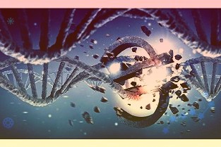 推动全民共享发展红利数字经济促进共同富裕大有可为